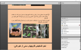 برگزاری کارگاه مجازی پرورش قارچ صدفی