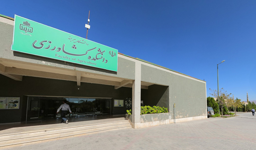 راه اندازی لینک ماکروویو اینترنت با پهنای باند ۱۰۰ Mb در پردیس امیرآباد