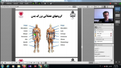 برگزاری جلسه دوم کارگاه طراحی تمرینات ورزشی با هدف کسب تندرستی