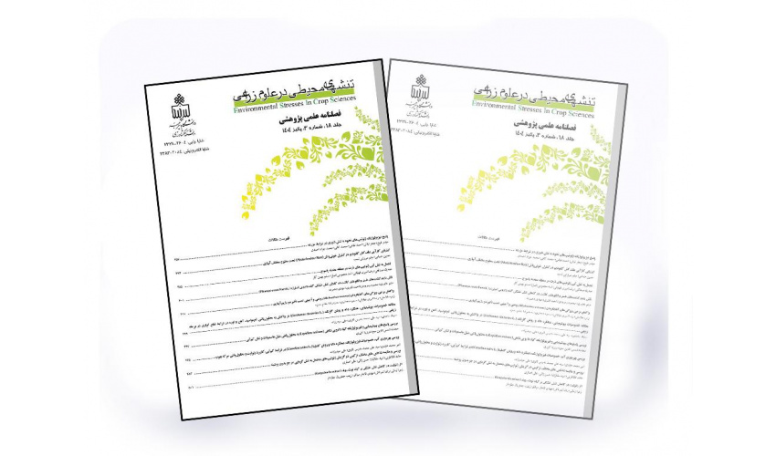 University of Birjand’s New Journal Earns Q4 Ranking in First Scopus Evaluation